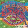 13th Floor Elevators - The Psychedelic World of the 13th Floor Elevators, Vo.l 2