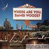 A Balladeer - Where Are You, Bambi Woods?