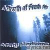 A Breath Of Fresh Air - Misty Horizons