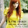 A Fine Frenzy - One Cell In the Sea