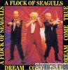 A Flock Of Seagulls - Dream Come True