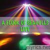 A Flock Of Seagulls - A Flock of Seagulls - Live