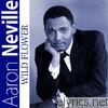 Aaron Neville - Wild Flower