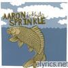 Aaron Sprinkle - Best of Aaron Sprinkle