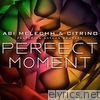 Abi Melechh - Perfect Moment (feat. Nathan Brumley & Citrino) - Single