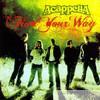 Acappella - Find Your Way