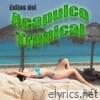 Éxitos Del Acapulco Tropical, Vol. 1