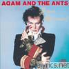 Adam & The Ants - Prince Charming