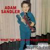 Adam Sandler - What the Hell Happened to Me?