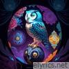 Celebrity Owl - EP
