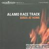 Alamo Race Track - Birds At Home