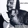 Albert Collins - Albert Collins