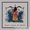 Saare Jahan Ke Malik (LoFi Original) [feat. Narci] - Single