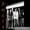 Amaru - Whatever You Like (Rock Cover)