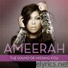 Ameerah - The Sound of Missing You - EP