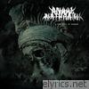 Anaal Nathrakh - A New Kind of Horror