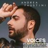 Voices (Acoustic) - Single