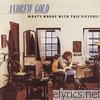 Andrew Gold - What's Wrong With This Picture?
