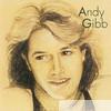 Andy Gibb - Andy Gibb - Greatest Hits