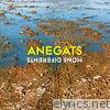 Anegats - Mons Differents