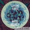 Angel Stanich - Camino Acido