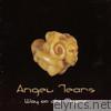Angel Tears - Way of the Mystic, Vol. 1