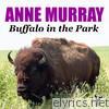 Buffalo in the Park