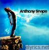 Anthony Snape - Disappearing Day