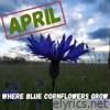 Where Blue Cornflowers Grow