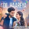 Dil Haareya - Single