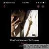 What's a Moment To Forever - EP