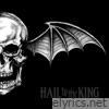 Avenged Sevenfold - Hail to the King (Deluxe Version)