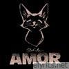 Amor (feat. Chuki, Retnik) - Single