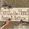Bain Mattox - Bird In the Hand