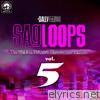 Sagloops Volume 5 - The Ultimate Bhangra Shouts For the DJ