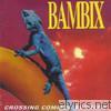 Bambix - Crossing Common Borders