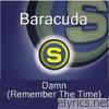 Baracuda - Damn (Remember the Time) - EP