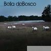 Bella Debosco