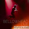 Bellowhead Live: The Farewell Tour
