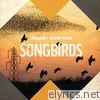 Song Birds - EP