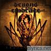 Beyond The Embrace - Insect Song