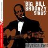Big Bill Broonzy - Big Bill Broonzy Sings (Remastered)