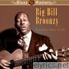 Big Bill Broonzy - Greatest Blues Licks