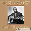 Big Bill Broonzy - Essential Blues Masters