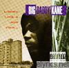 Big Daddy Kane - Looks Like a Job For...