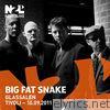 Big Fat Snake - Glassalen - Tivoli 2011