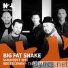 Big Fat Snake - Smukfest 2011