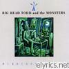 Big Head Todd & The Monsters - Midnight Radio