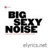 Big Sexy Noise