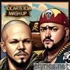 Tocarte Toa (Mashup) [feat. Calle 13] - Single